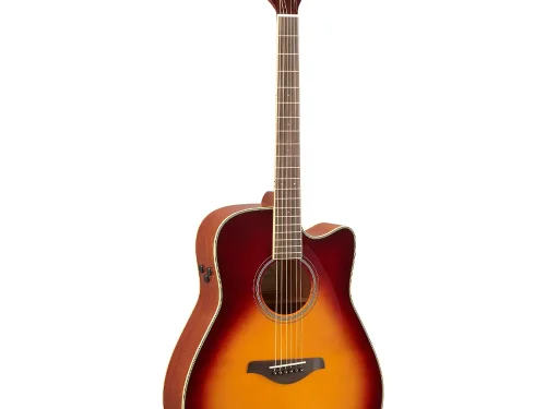 Yamaha FGC-Tabs